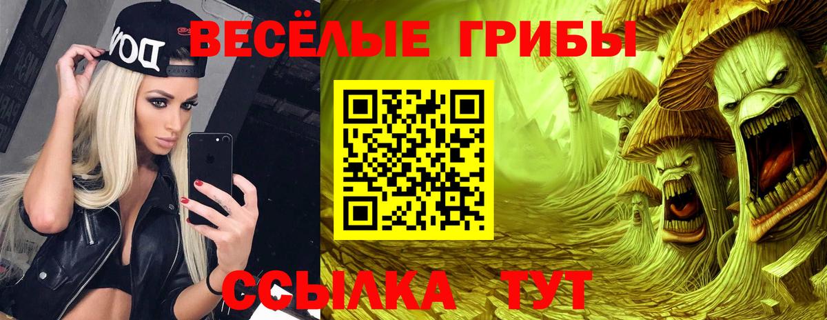Галлюциногенные грибы MAGIC MUSHROOMS Артёмовский
