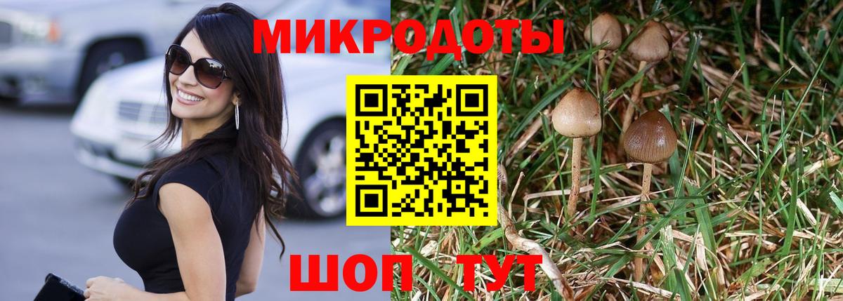 Псилоцибиновые грибы Magic Shrooms  Вход с VPN  Артёмовский  Галлюциногенные грибы прущие грибы 